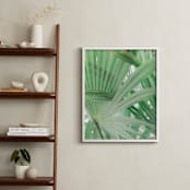 "Yucatan I" - Art Print in Tropical Green by Lindsay Ferraris Photography - In a Room