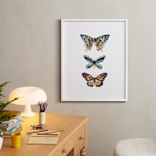"Butterfly Colorful Watercolors" - Art Print in Butterfly wing black by Lauren Rogoff - In a Room