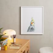 "Cockatiel" - Art Print in Grey with a splash of yellow by Kirsta Benedetti - In a Room