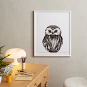 "Baby Animal Owl" - Art Print in Dark Wood by Cass Loh - In a Room