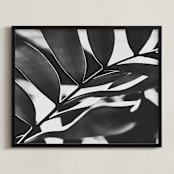 "GLOWING BOTANICAL I" - Art Print in black and white by Amy Chapman Braun - Framed