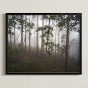 "Trees in the Mist" - Art Print in Fog White by Benno and Noosa - Framed
