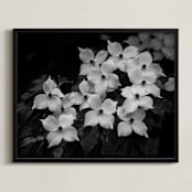 "Rainy Day Flowers" - Art Print in Black & White by Janet Cruz - Framed