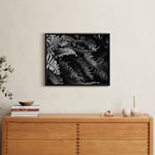 "Ferns" - Art Print in black and white by Eliane Lamb - In a Room
