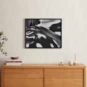 "GLOWING BOTANICAL II" - Art Print in BLACK AND WHITE by Amy Chapman Braun - In a Room