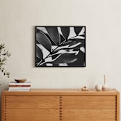 "GLOWING BOTANICAL I" - Art Print in black and white by Amy Chapman Braun - In a Room