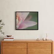 "Half of Me" - Art Print in Pink by Carol Schiraldi - In a Room