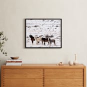 "Desert Devotion" - Art Print in Desert Snow by Leslie Le Coq - In a Room