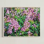 "Starflowers" - Art Print in Starflower Pink by Mariecor Agravante - Framed