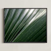 "Incline" - Art Print in Palm by Three Wings North - Framed