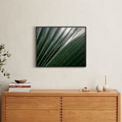 "Incline" - Art Print in Palm by Three Wings North - In a Room