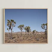 "Joshua Trees" - Art Print in Desert Beige by Kathy Van Torne - Framed