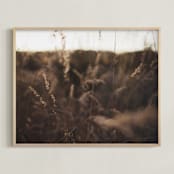 "Abstract Fields of Gold" - Art Print in Brown Sunset by CedarandGrey - Framed