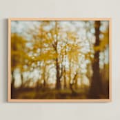 "Golden Canopy Study #2" - Art Print in Goldenrod by Stacy Kron - Framed