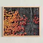 "Fall Wall" - Art Print in Burnt orange by Johanna Phillips Huuva - Framed