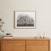 "bloom I" - Art Print in blossom by Sara Hicks Malone - In a Room