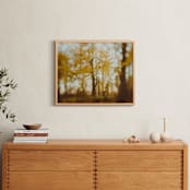 "Golden Canopy Study #2" - Art Print in Goldenrod by Stacy Kron - In a Room