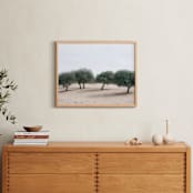 "Casting Shade" - Art Print in Sage by Courtney Crane - In a Room
