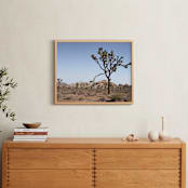 "Joshua Tree With Rock Formation in" - Art Print in Desert Tan by Kathy Van Torne - In a Room