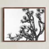 "Joshua Tree in September" - Art Print in Charcoal by Katie Doherty - Framed