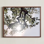 "Elegant Oak Tree" - Art Print in Baby Blue by Wilder California - Framed