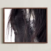 "Bucker" - Art Print in Wild Black by Leslie Le Coq - Framed
