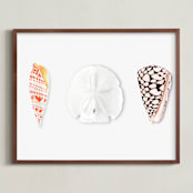 "Shell Collection" - Art Print in Lobster Bisque by Artsy Canvas Girl Designs - Framed
