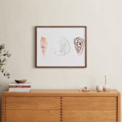 "Shell Collection" - Art Print in Lobster Bisque by Artsy Canvas Girl Designs - In a Room