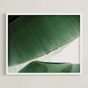 "leaf & light 1" - Art Print in deep ocean green by Alicia Abla - Framed