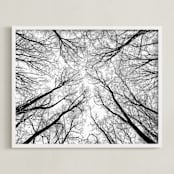 "Lost in the forest" - Art Print in Black and White by Magdalena Kucova - Framed