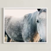 "Seeing" - Art Print in Mist by ALICIA BOCK - Framed