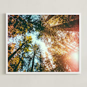 "Redwoods Surround Me" - Art Print in Forest Green by Elena Kulikova - Framed