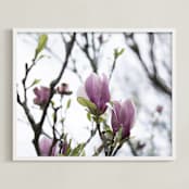 "Sugar Magnolia" - Art Print in Magnolia Pink by Karen Kaul - Framed