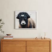 "Thomas Bangs" - Art Print in Black Brown by Amy Carroll - In a Room