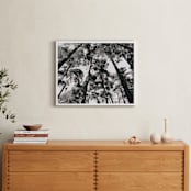 "In the Woods" - Art Print in black and white by lulu and isabelle - In a Room