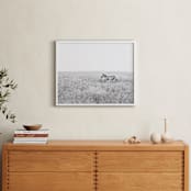 "Going Into the Wild" - Art Print in Black and White by Alison Holcomb - In a Room