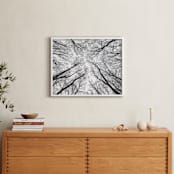 "Lost in the forest" - Art Print in Black and White by Magdalena Kucova - In a Room