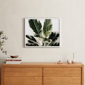 "Diane" - Art Print in Variegated Green by Kristi Jackson - In a Room