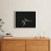"Franz + Ferdinand" - Art Print in Black by Amy Carroll - In a Room