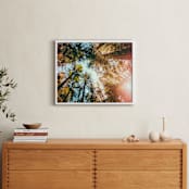 "Redwoods Surround Me" - Art Print in Forest Green by Elena Kulikova - In a Room