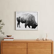 "Living Remnants of the Not-So-Distant Past" - Art Print in Black and White by Shannon Dunlap - In a Room