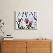 "Sugar Magnolia" - Art Print in Magnolia Pink by Karen Kaul - In a Room