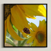 "Lady Bug on a Sunflower Petal" - Art Print in Sunflower Yellow by Mechelle Gilford - Framed