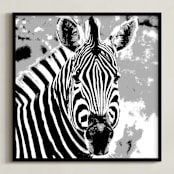 "mr ZEBRA" - Art Print in zebra black by Gail Schechter - Framed