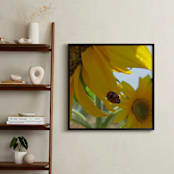 "Lady Bug on a Sunflower Petal" - Art Print in Sunflower Yellow by Mechelle Gilford - In a Room