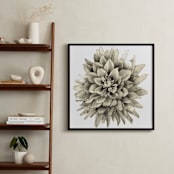 "Graphite Dahlia" - Art Print in graphite by Sonal Nathwani - In a Room