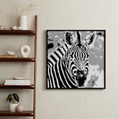 "mr ZEBRA" - Art Print in zebra black by Gail Schechter - In a Room
