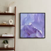 "lilac iris" - Art Print in lilac by Niki Digrigorio - In a Room
