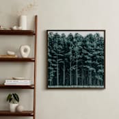 "through the trees" - Art Print in Pine by Keely Norton Owendoff - In a Room