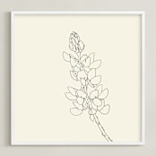 "Lupine" - Art Print in charcoal on ivory by Jorey Hurley - Framed